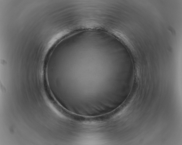 X0000090630630200708071246