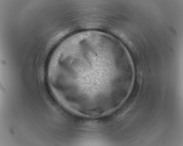 X0000090630631200708071246