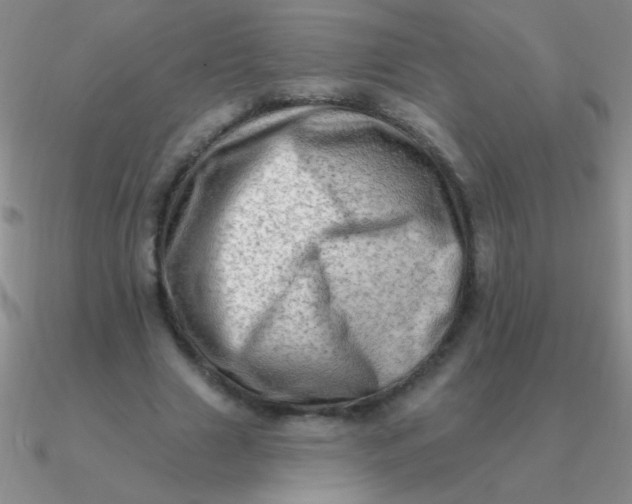 X0000090630633200708071246