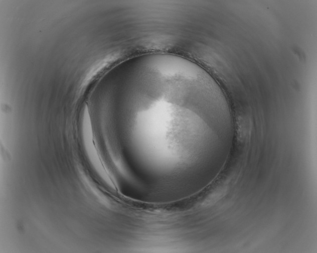 X0000090630634200708071246