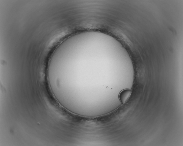 X0000090630635200708071246