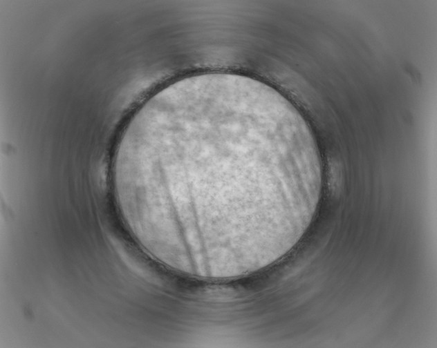 X0000090630636200708071246