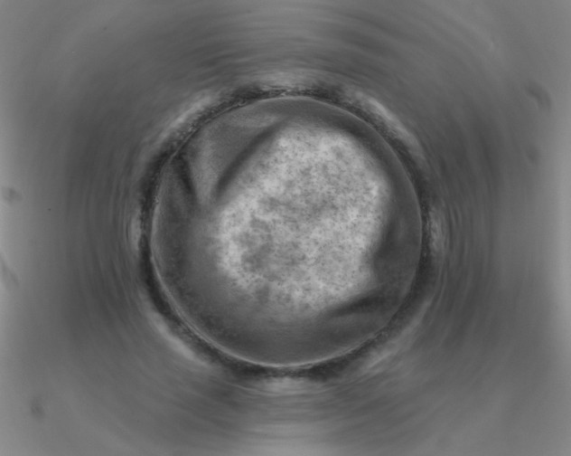 X0000090630637200708071246