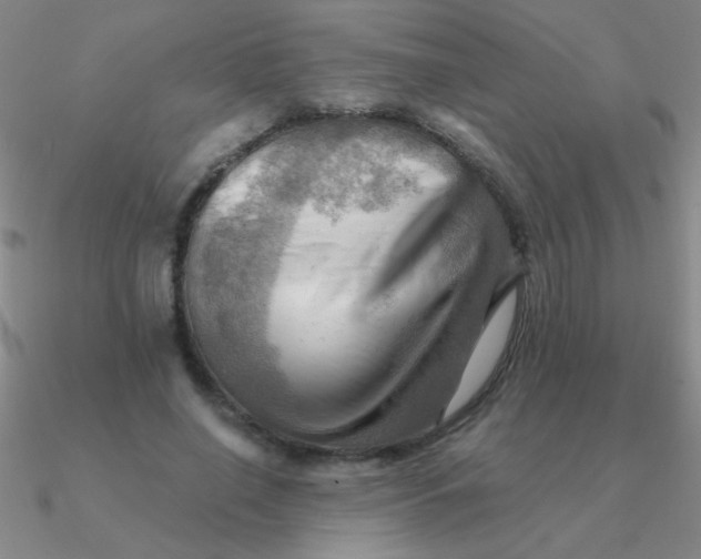 X0000090630638200708071246