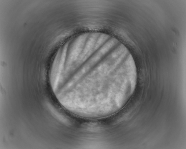 X0000090630639200708071246