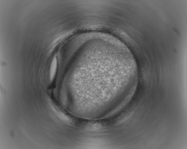 X0000090630640200708071246