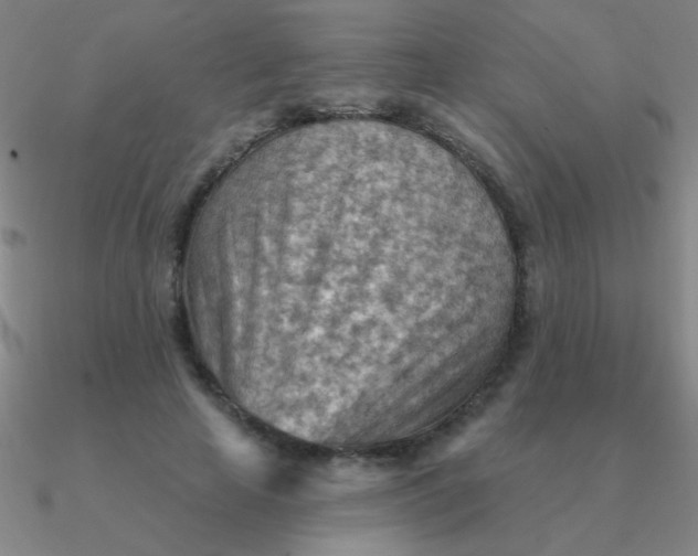 X0000090630641200708071246