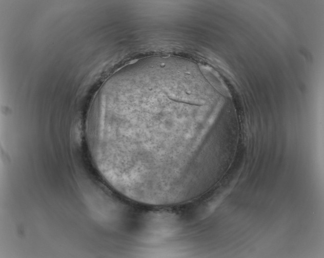 X0000090630644200708071246