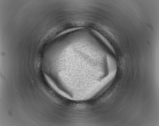 X0000090630645200708071246