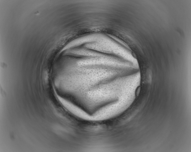 X0000090630646200708071246