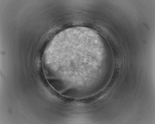 X0000090630648200708071246