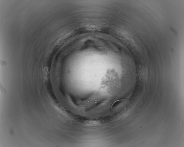 X0000090630649200708071246