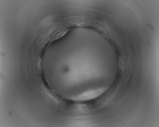 X0000090630650200708071247