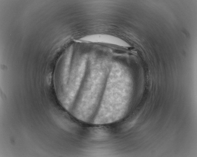 X0000090630652200708071247