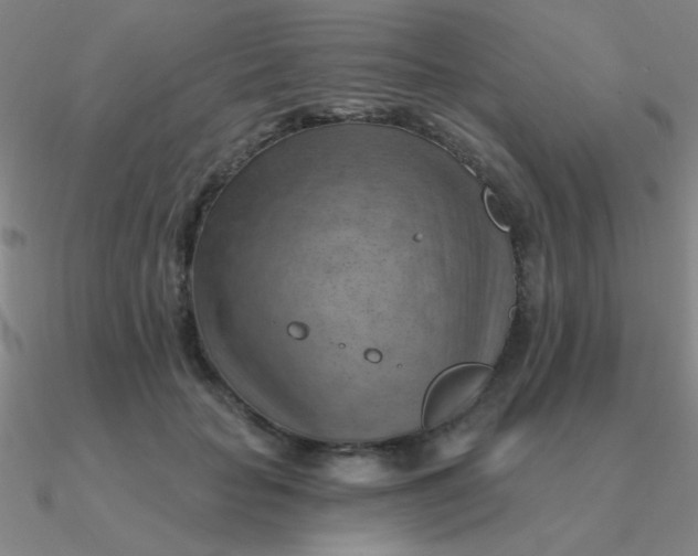 X0000090630653200708071247