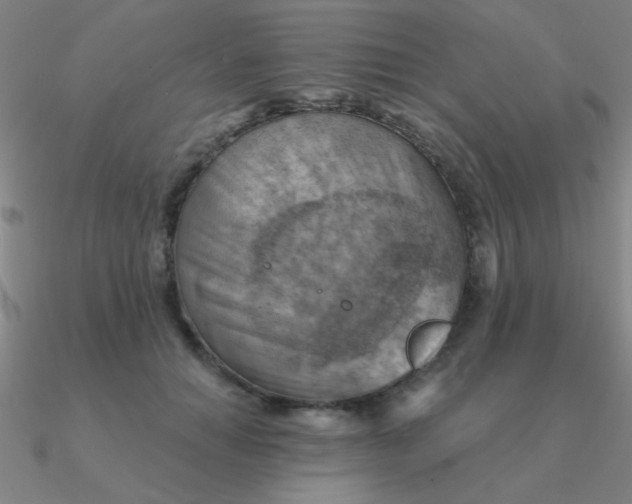 X0000090630654200708071247