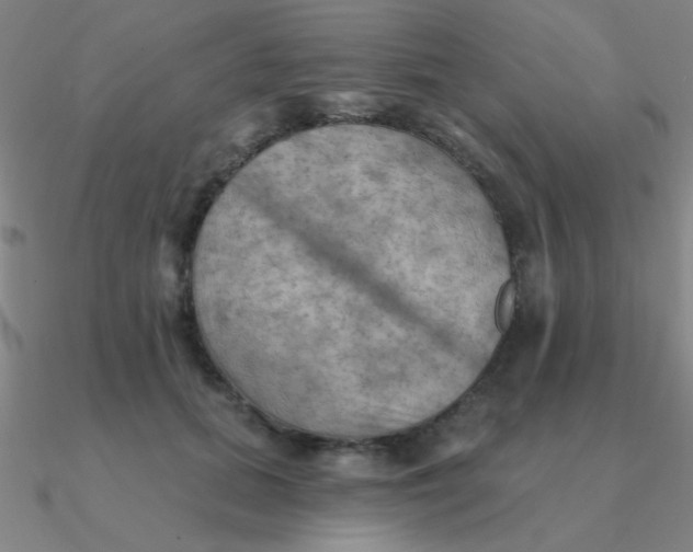 X0000090630655200708071247