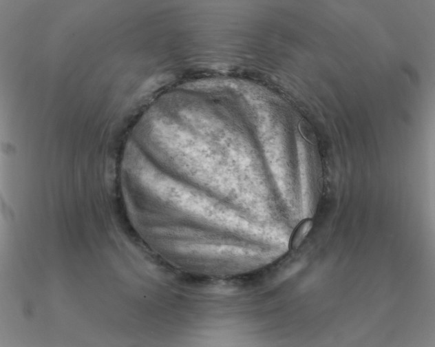 X0000090630656200708071247