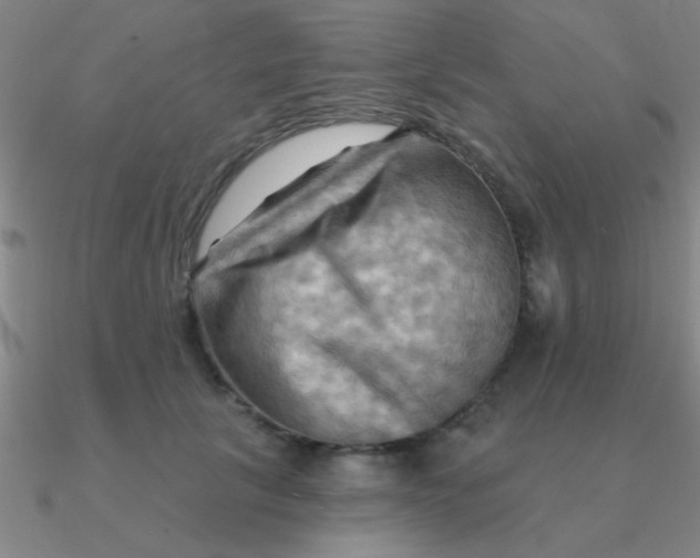 X0000090630657200708071247