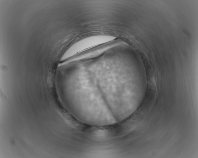 X0000090630658200708071247