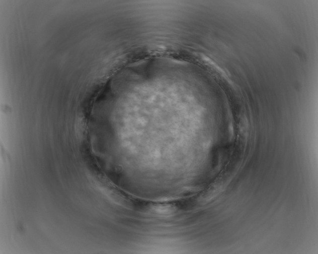 X0000090630659200708071247