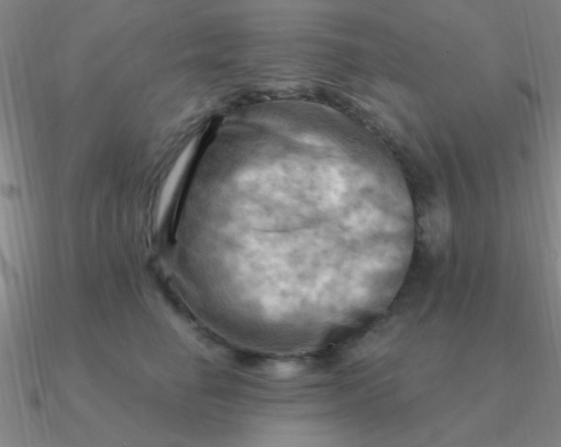 X0000090630662200708071247