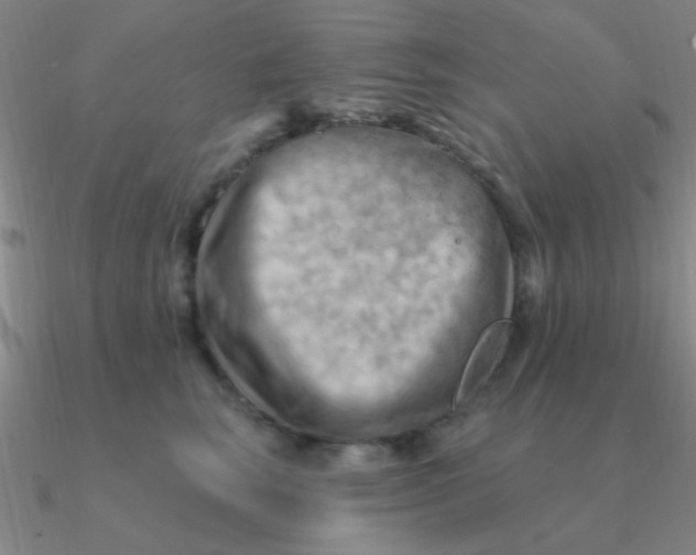 X0000090630663200708071247