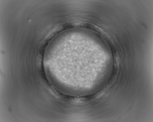 X0000090630664200708071247