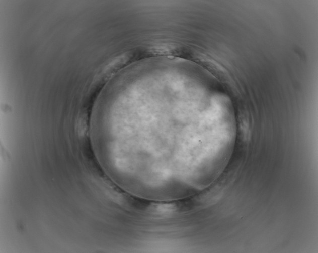 X0000090630665200708071247