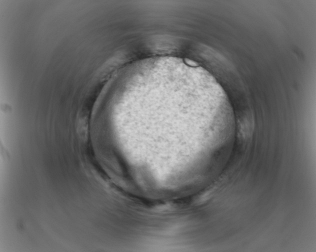 X0000090630666200708071247