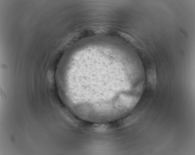 X0000090630667200708071247