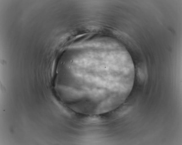 X0000090630668200708071247