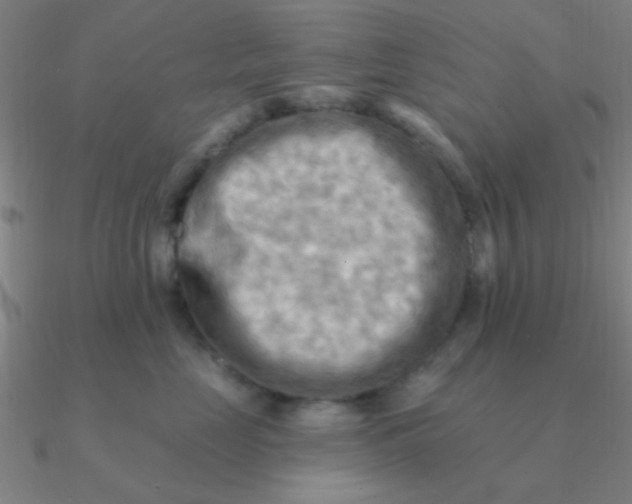 X0000090630669200708071247