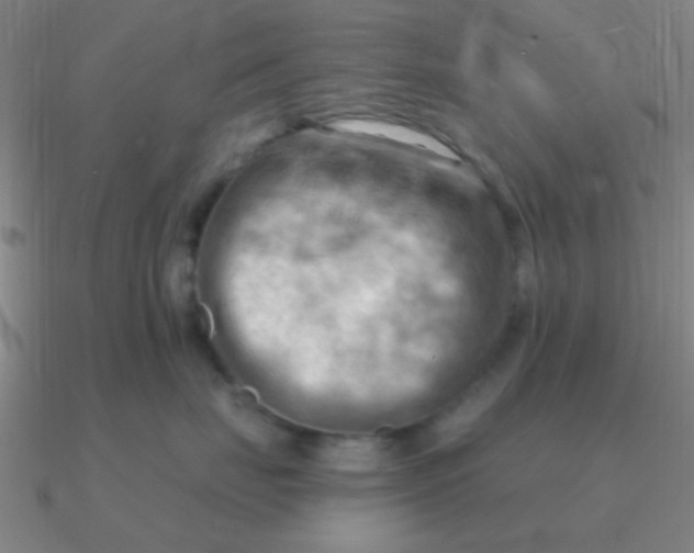 X0000090630671200708071247