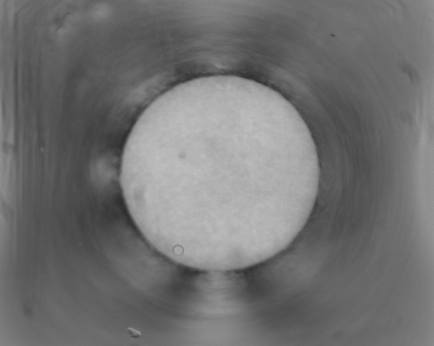 X0000090630672200708071247