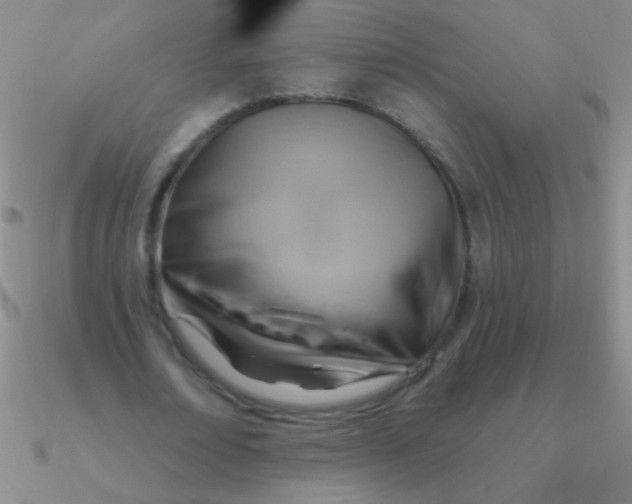 X0000090630674200708071246