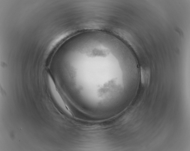 X0000090630675200708071246