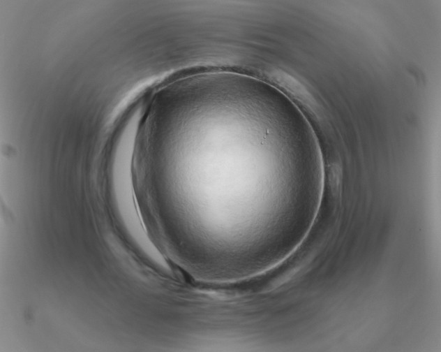 X0000090630676200708071246