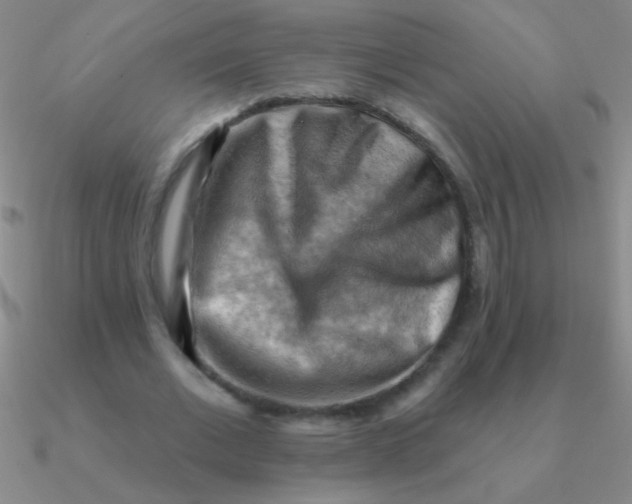 X0000090630677200708071246