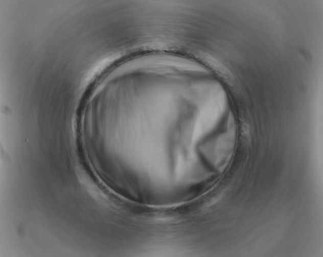 X0000090630678200708071246