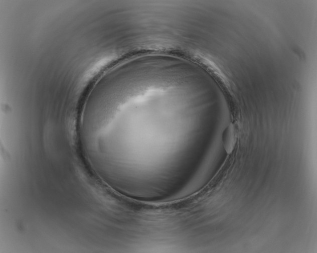 X0000090630679200708071246