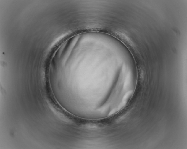 X0000090630684200708071246