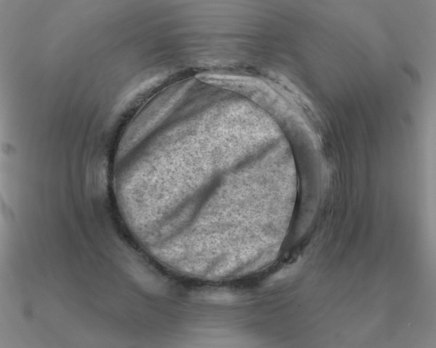 X0000090630685200708071246