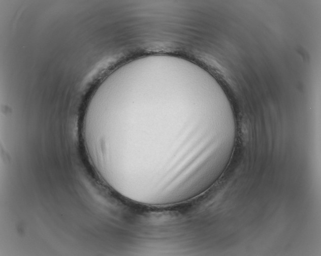 X0000090630686200708071246