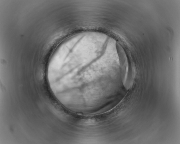 X0000090630687200708071246