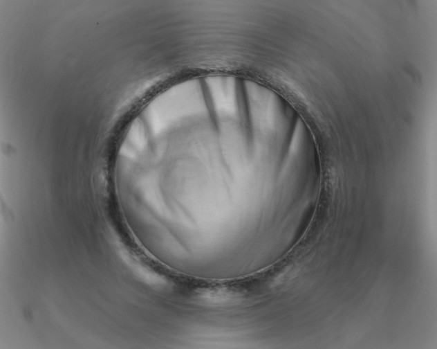 X0000090630688200708071246