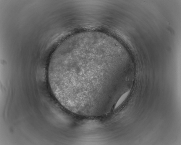 X0000090630689200708071246