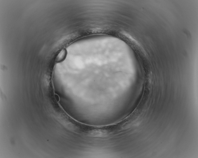 X0000090630691200708071246