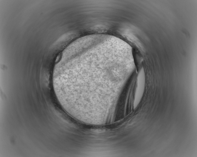 X0000090630693200708071246