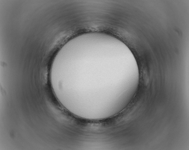 X0000090630694200708071246